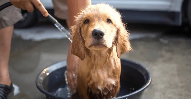 First Bath