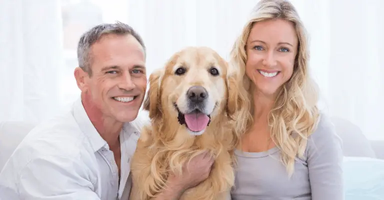 How You Can Help Your Golden Retriever Stay Healthy