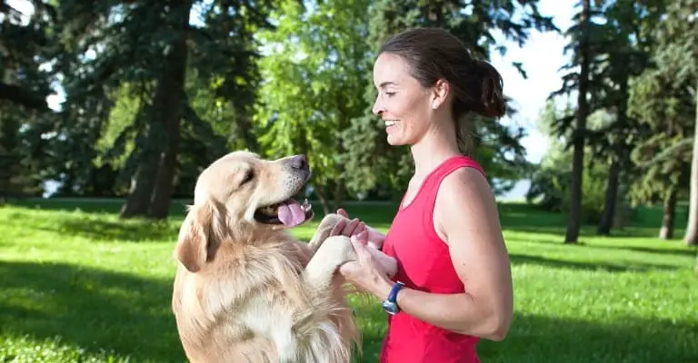 Can Golden Retrievers Understand Smiles